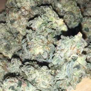 Meet your Posher, Devin